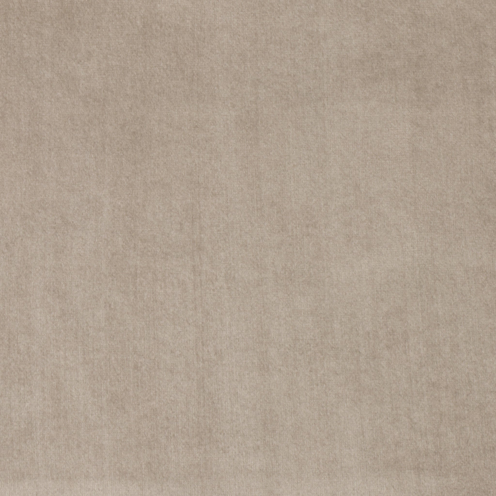 Harry Velvet Natural Swatch