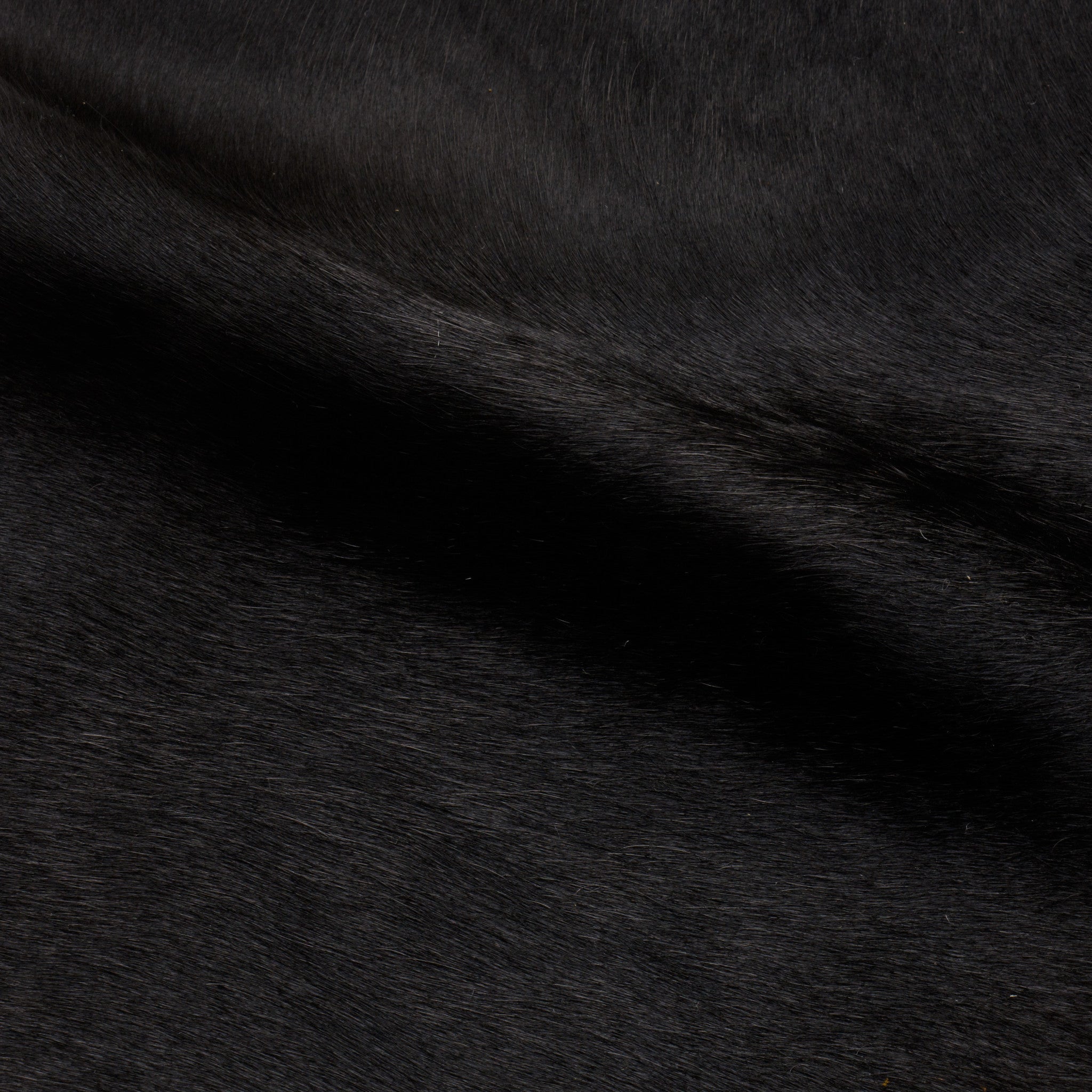 Farrah Black Swatch