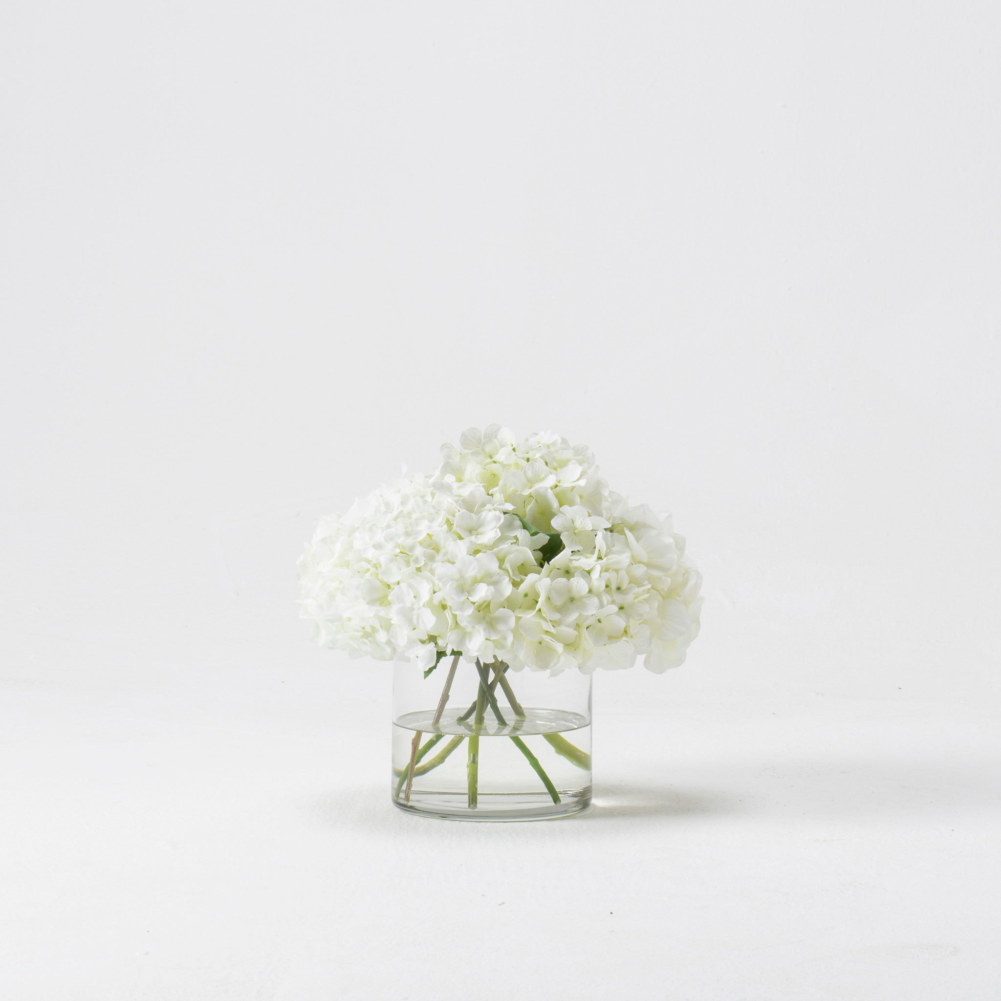 White Hydrangea In Glass Cylinder