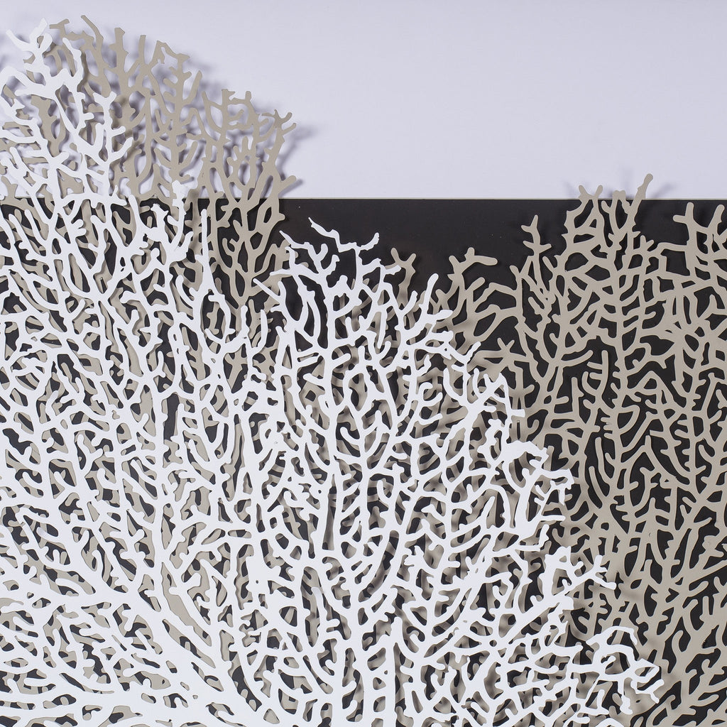 White & Grey Coral