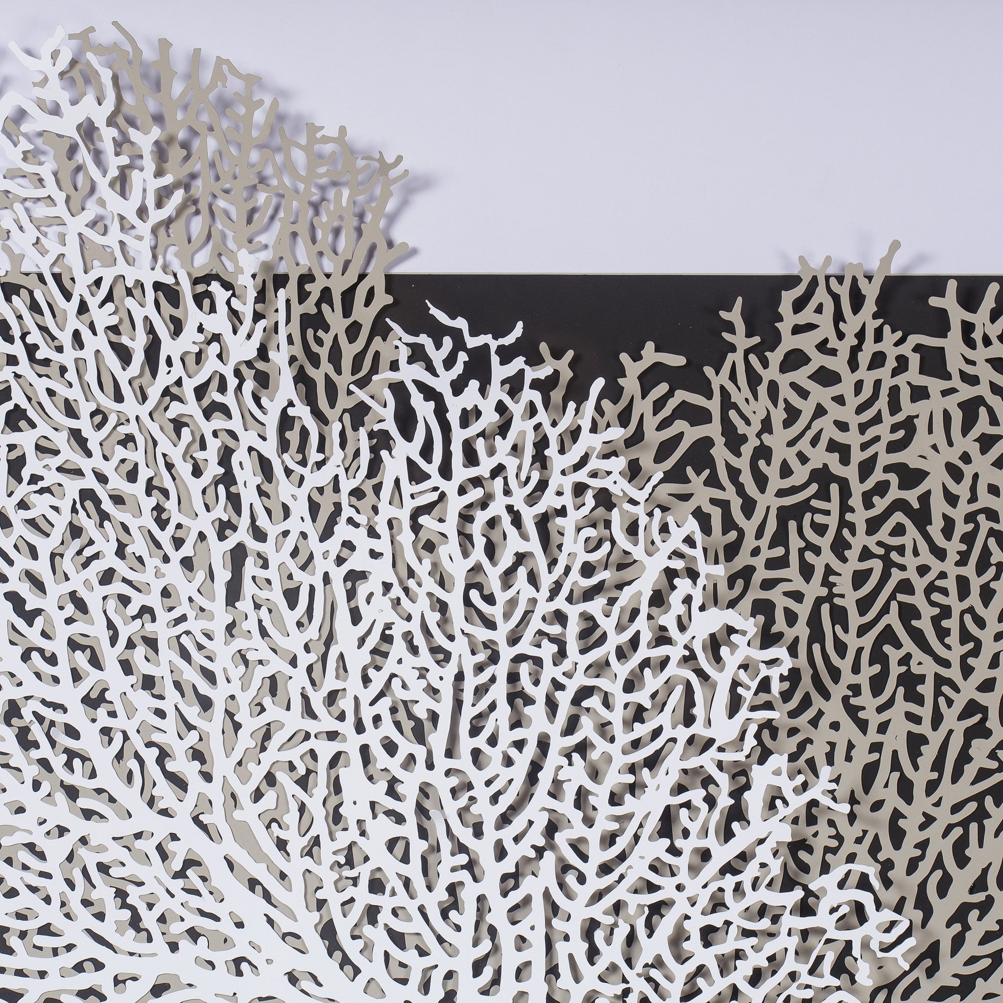 White & Grey Coral