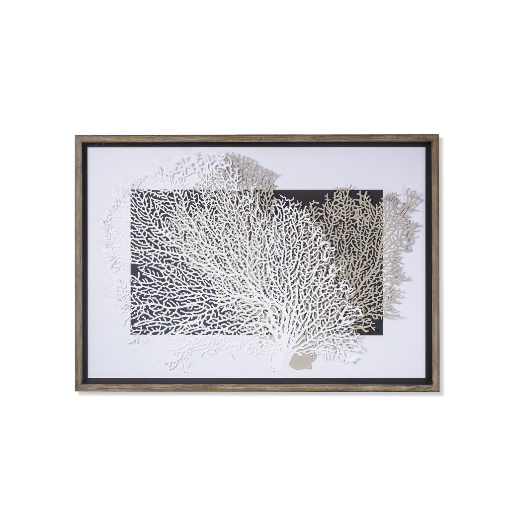 White & Grey Coral