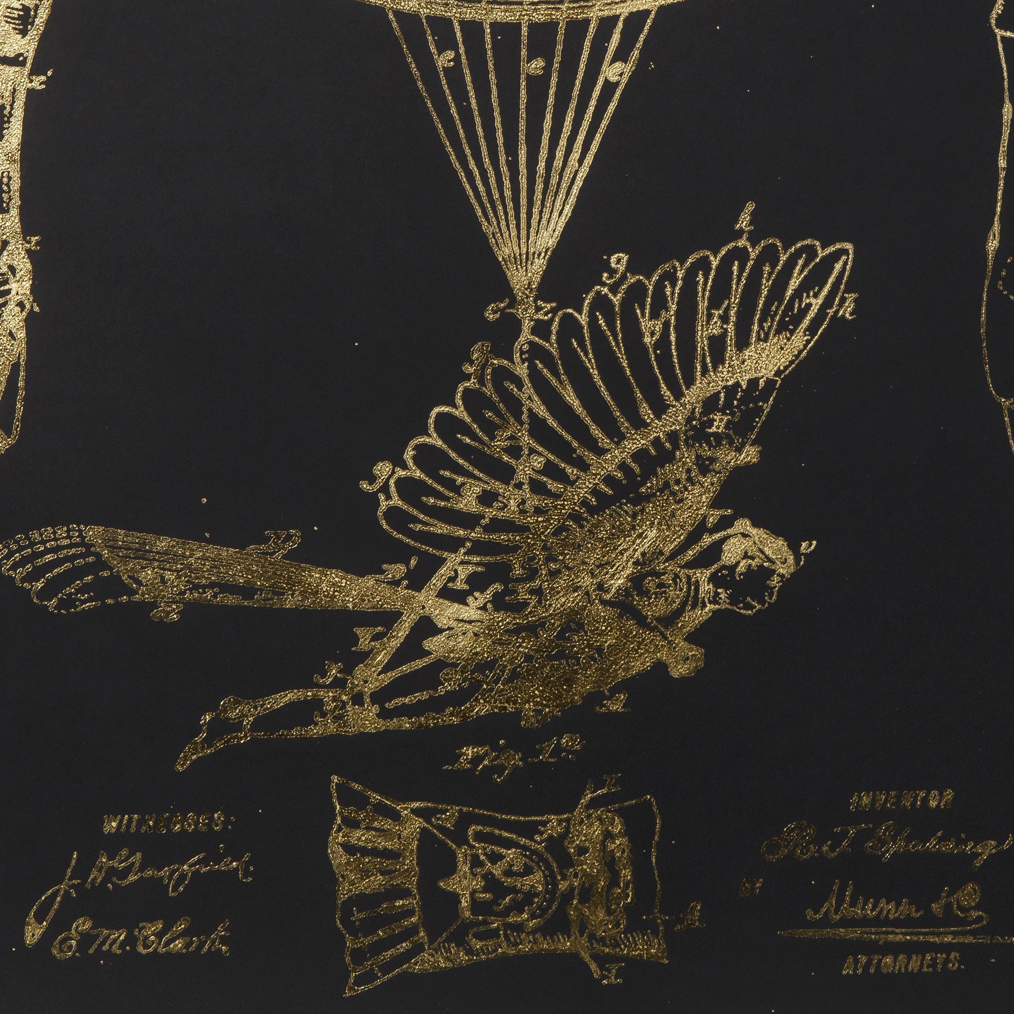 R.J. Spalding Flying Machine B