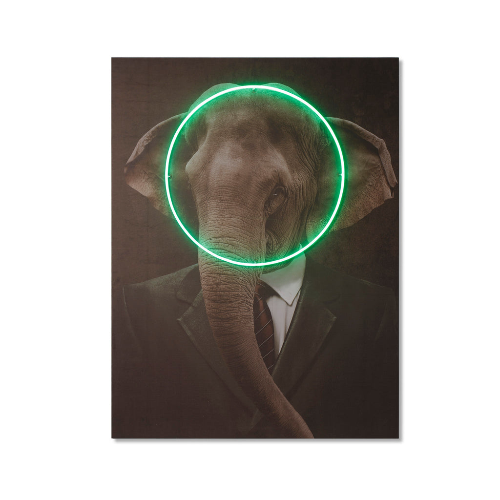 Elephant Portrait - LED Neon