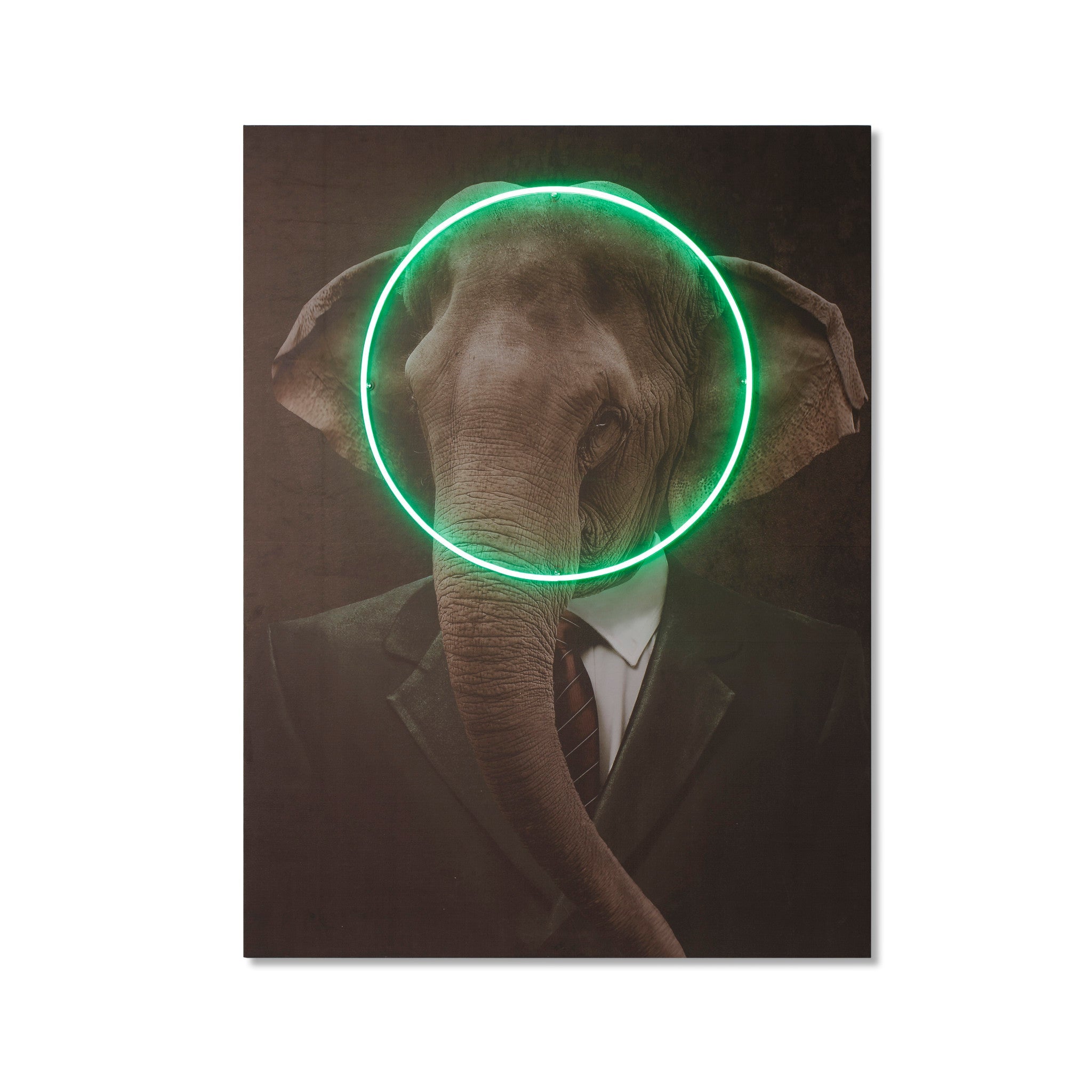 Elephant Portrait - LED Neon