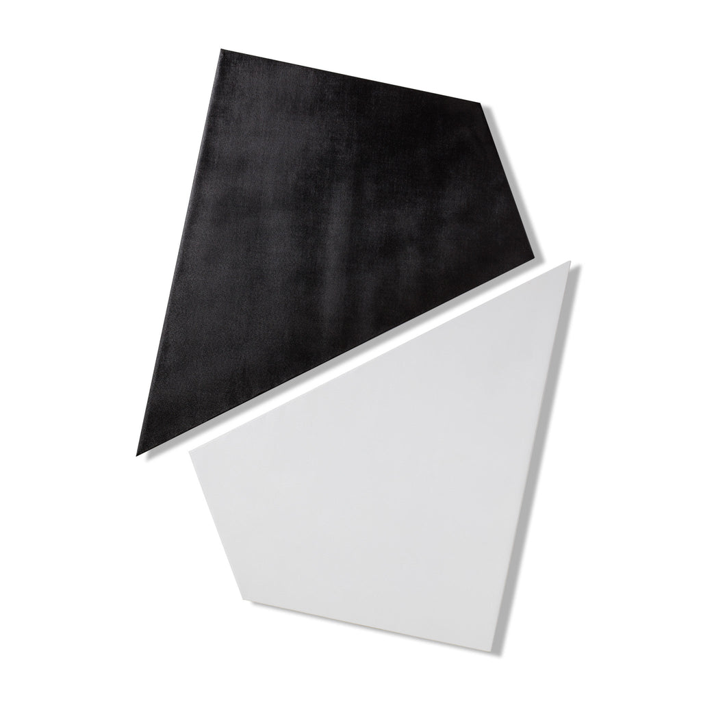 Reagan Hayes - Black & White Canvas