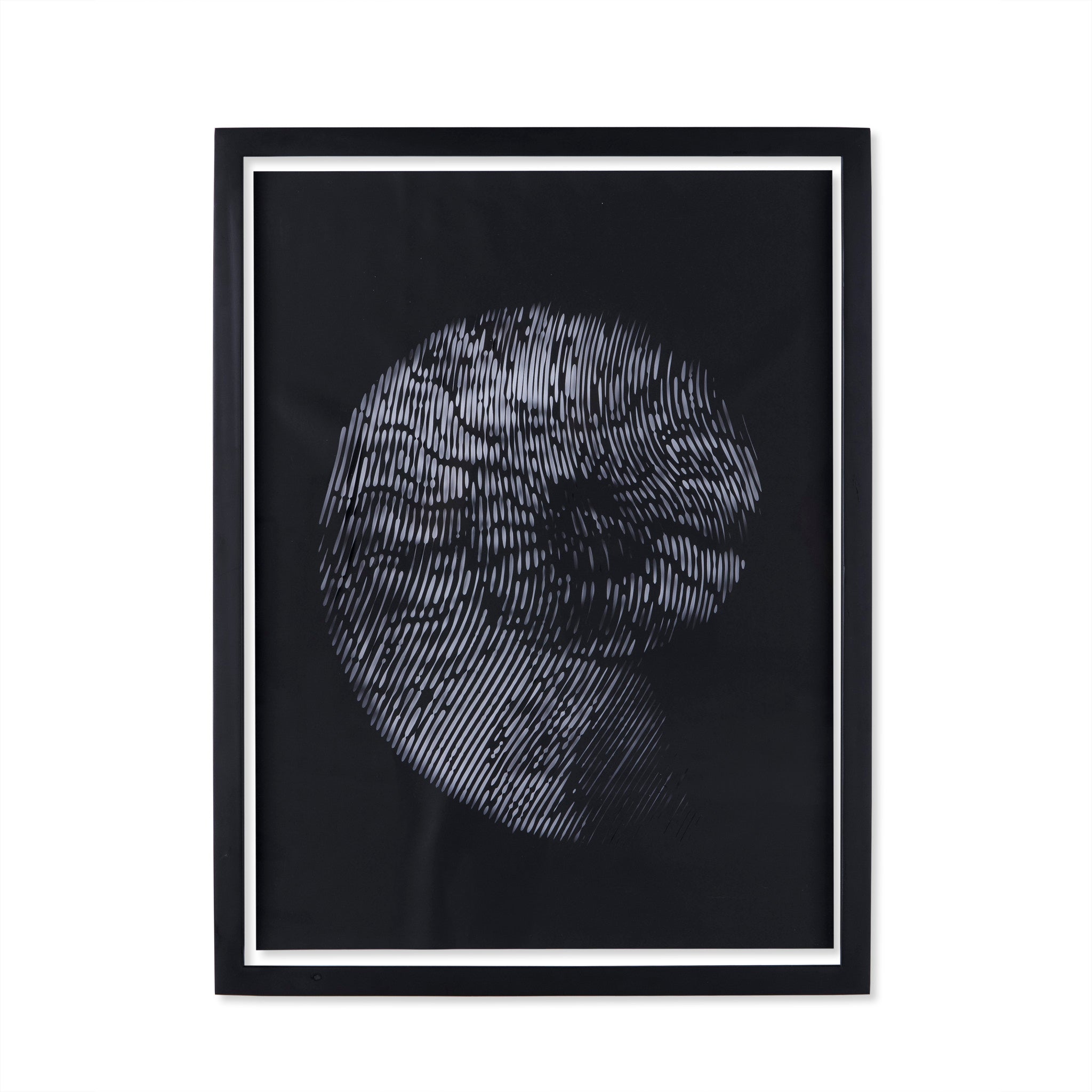 Ammonite