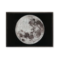 Silver Leaf - Moon