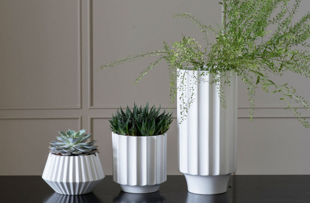 Ridged Pot