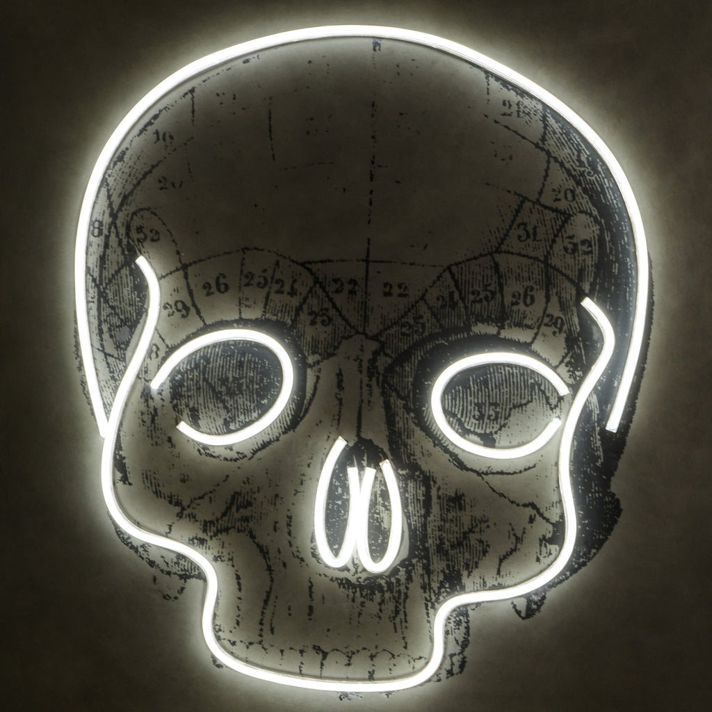 LED Neon Skull