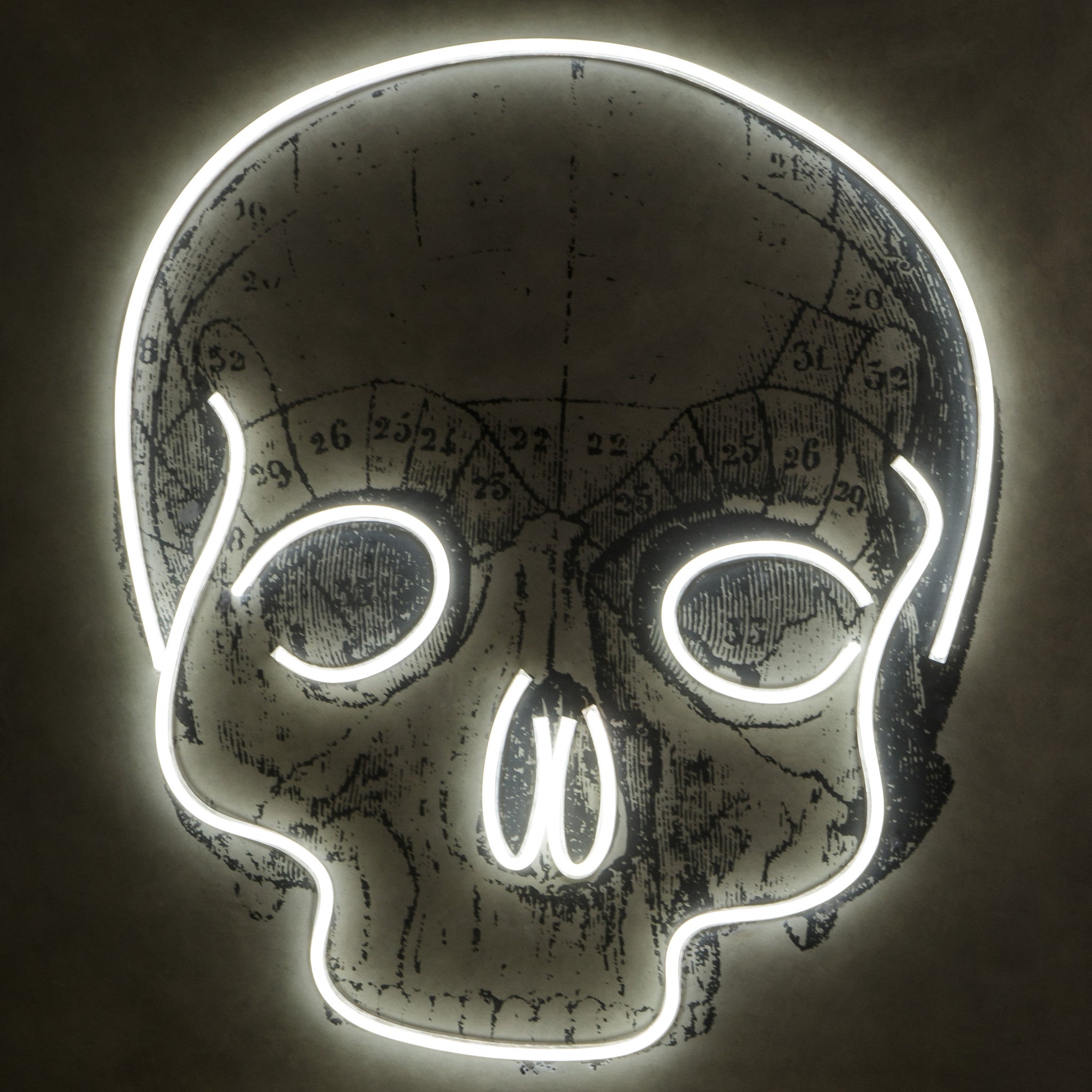 LED Neon Skull