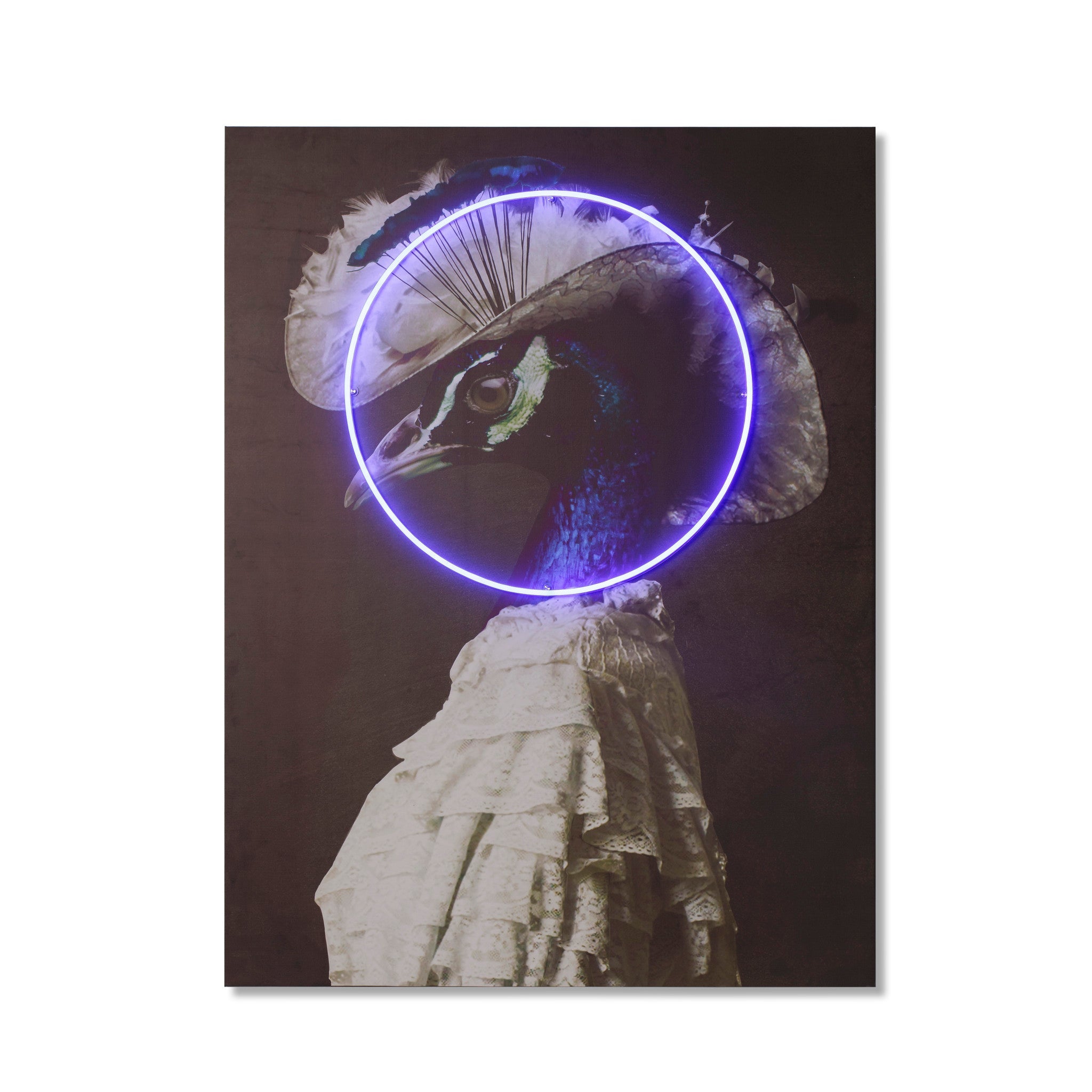 Peacock Portrait - LED Neon