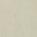 Cream Birdseye Maple