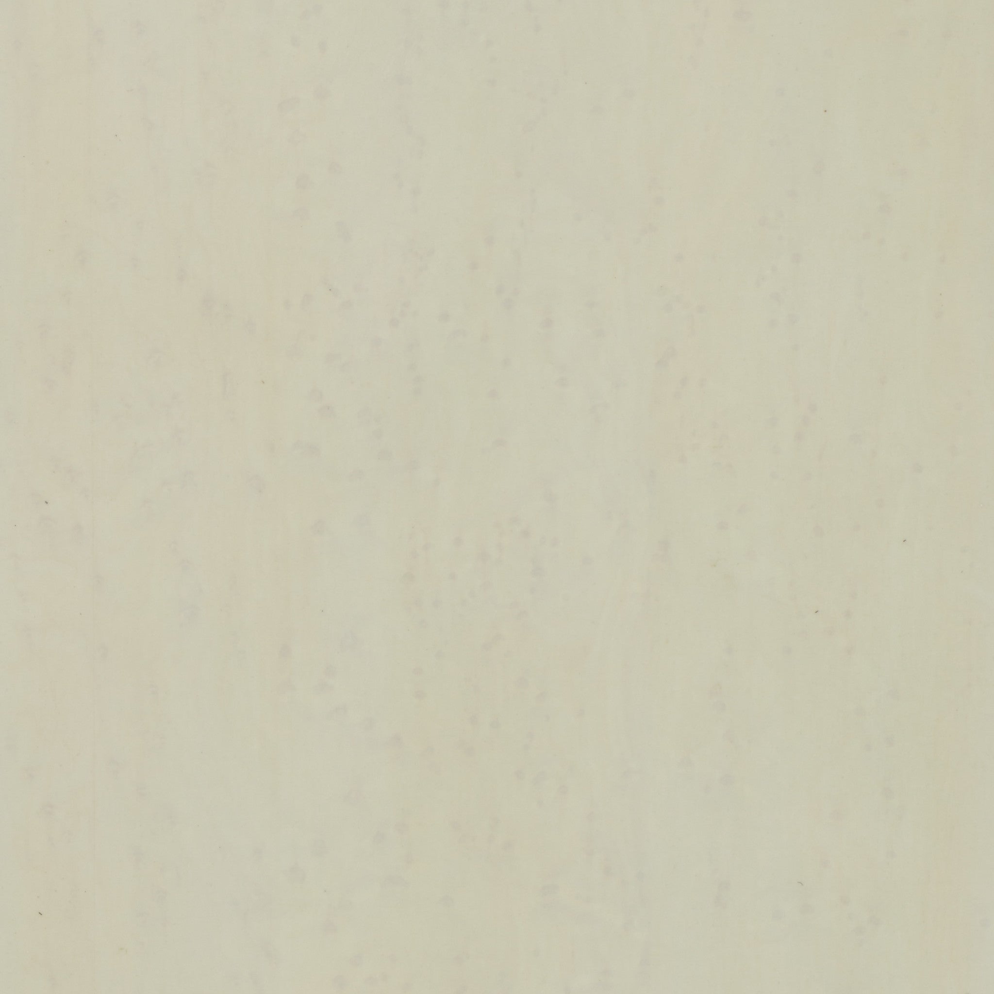 Cream Birdseye Maple