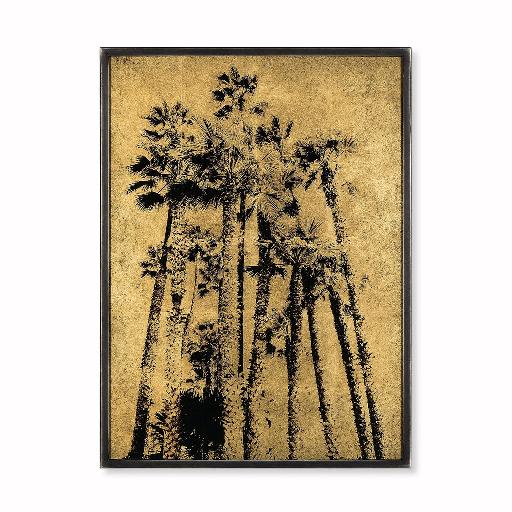 Santa Monica Palm Trees