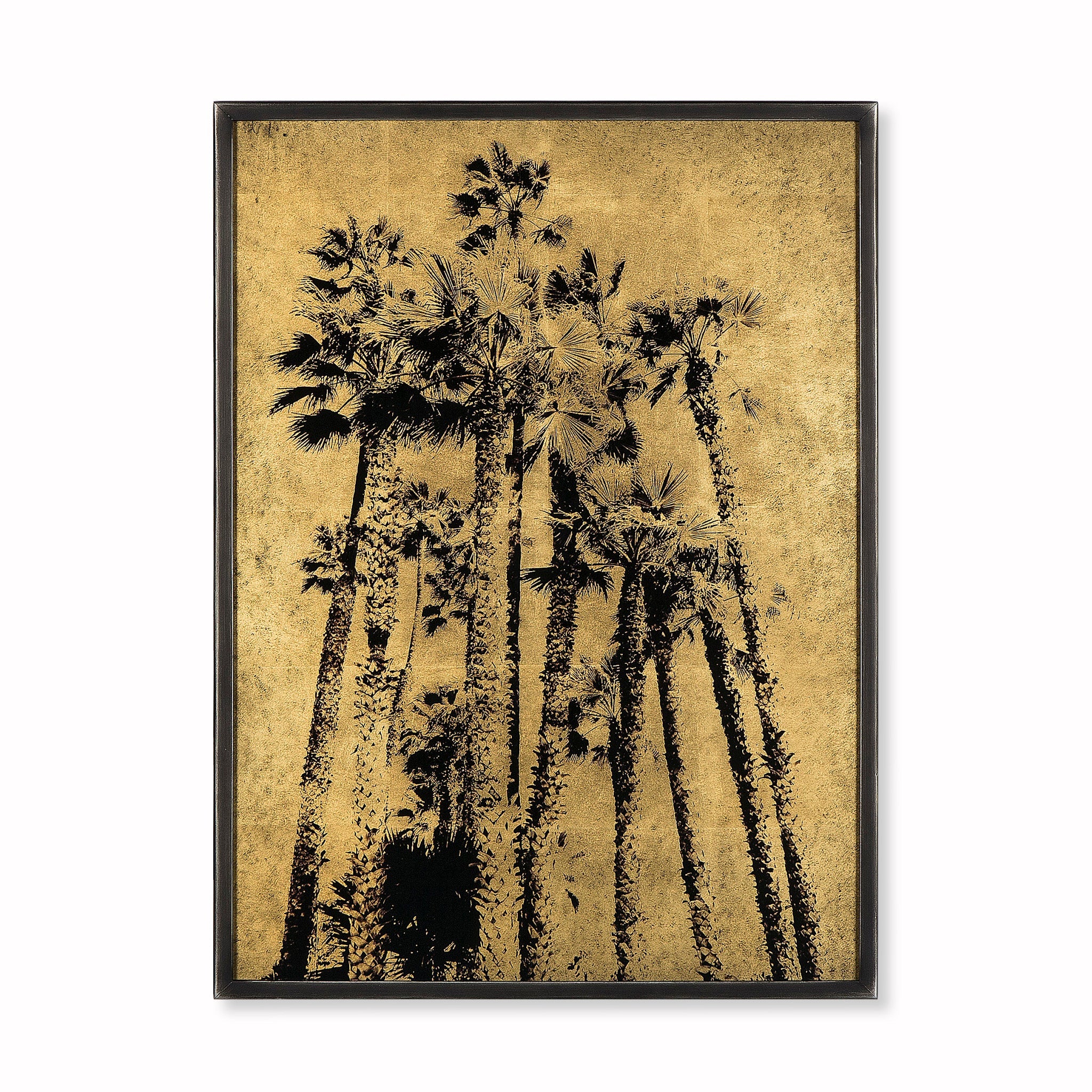Santa Monica Palm Trees