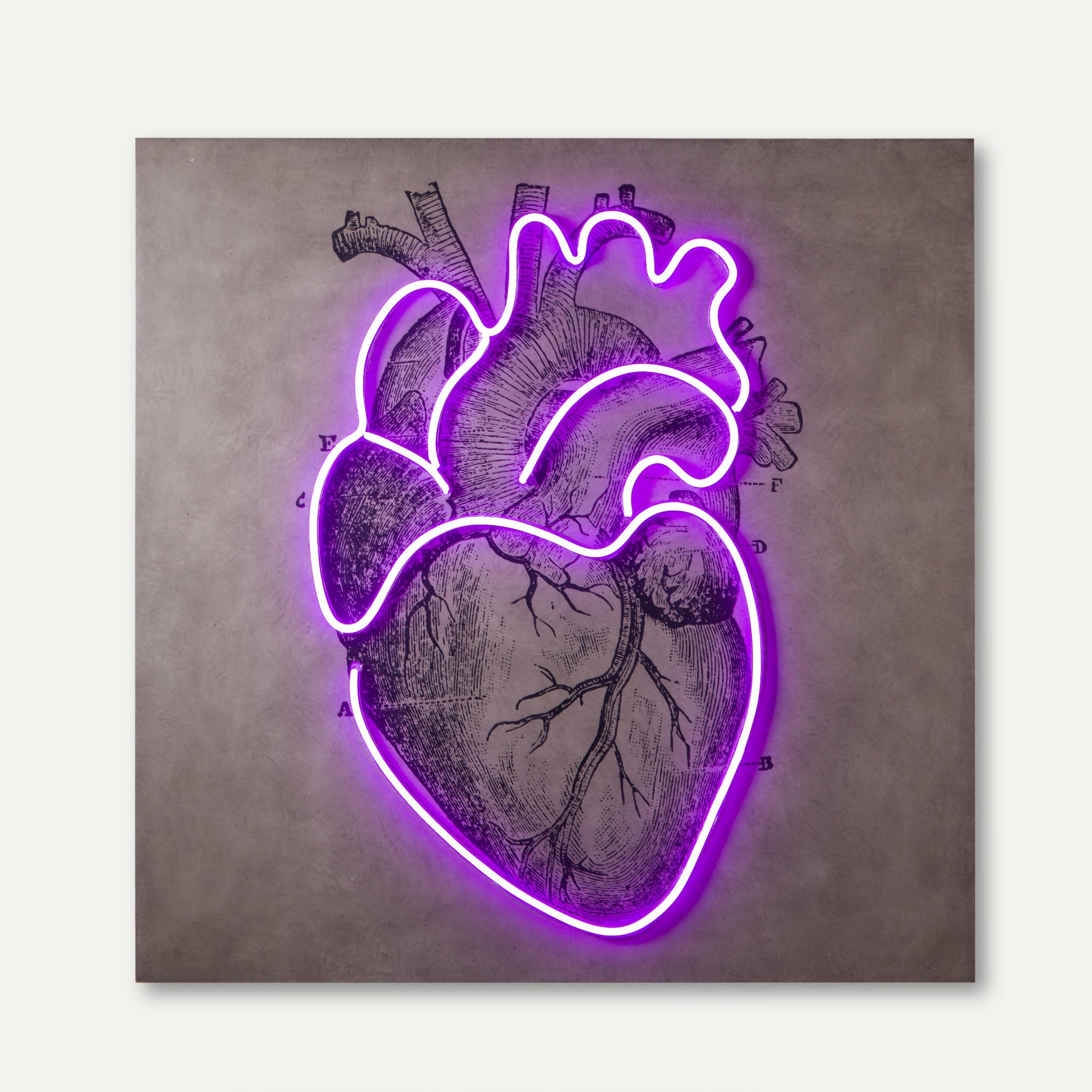 LED Neon Heart