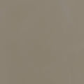 Warm Taupe Lacquer