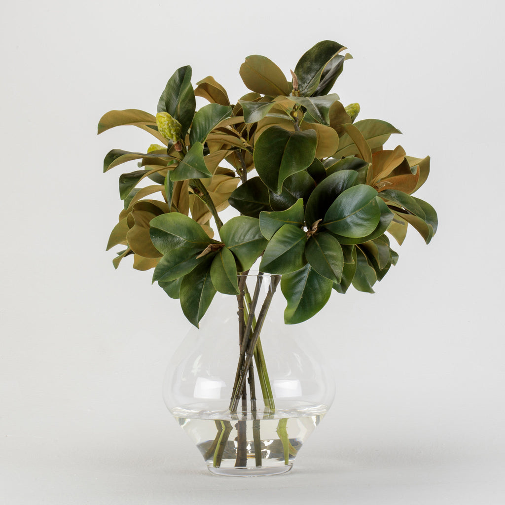 Magnolia Leaves in York Vase