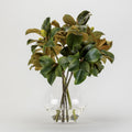 Magnolia Leaves in York Vase