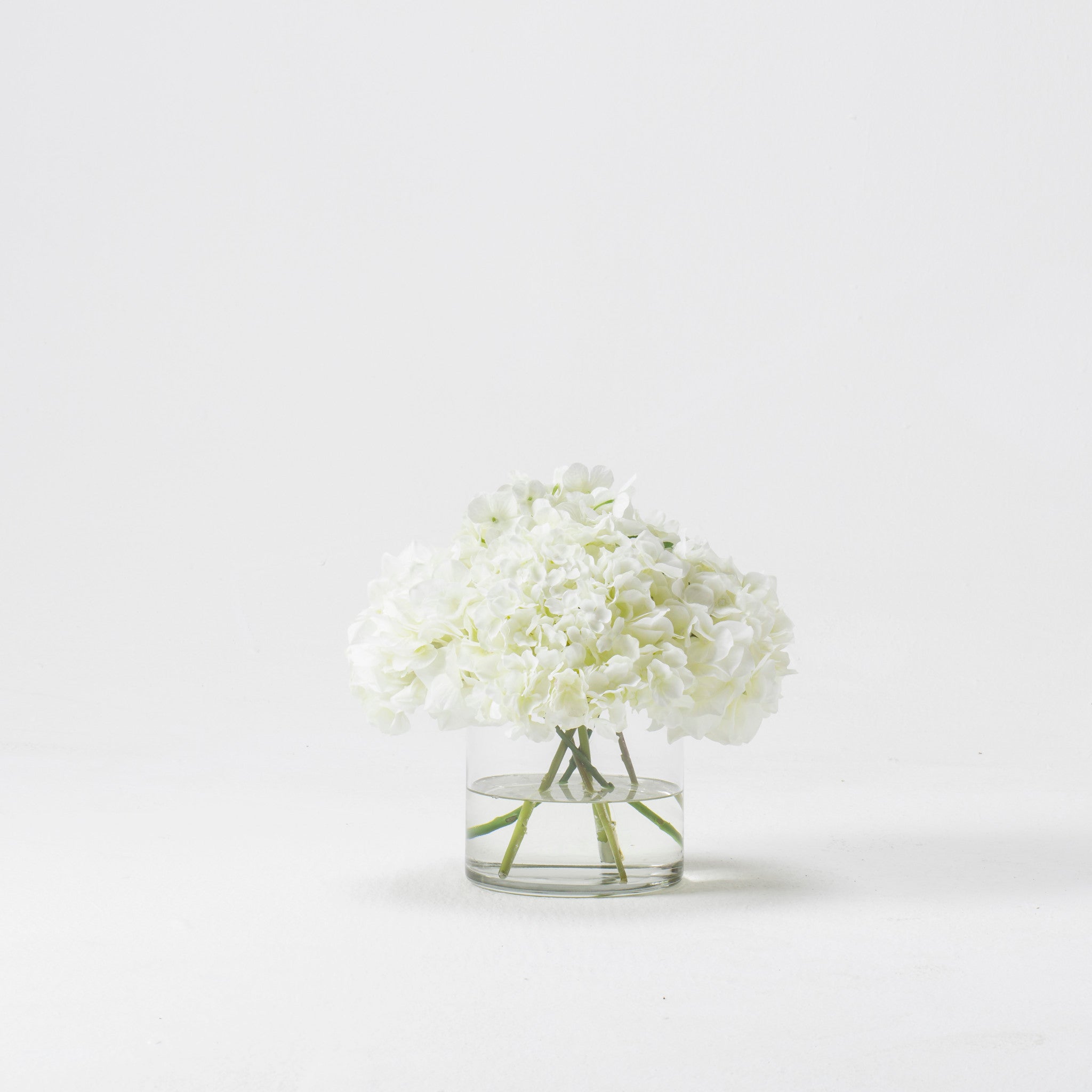 White Hydrangea In Glass Cylinder