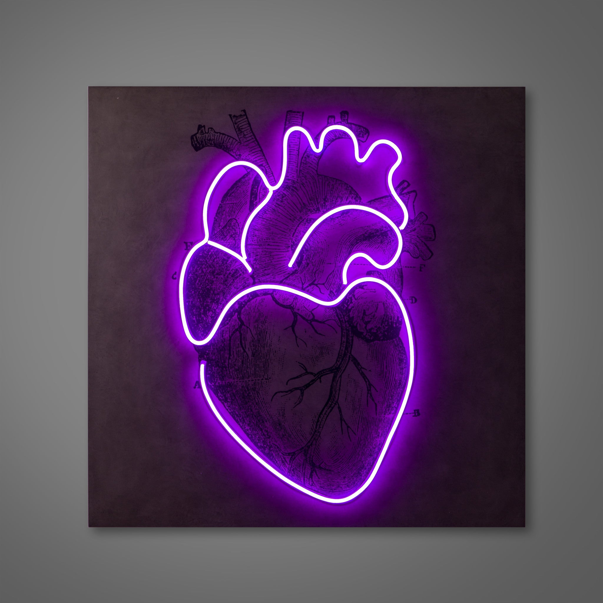 LED Neon Heart