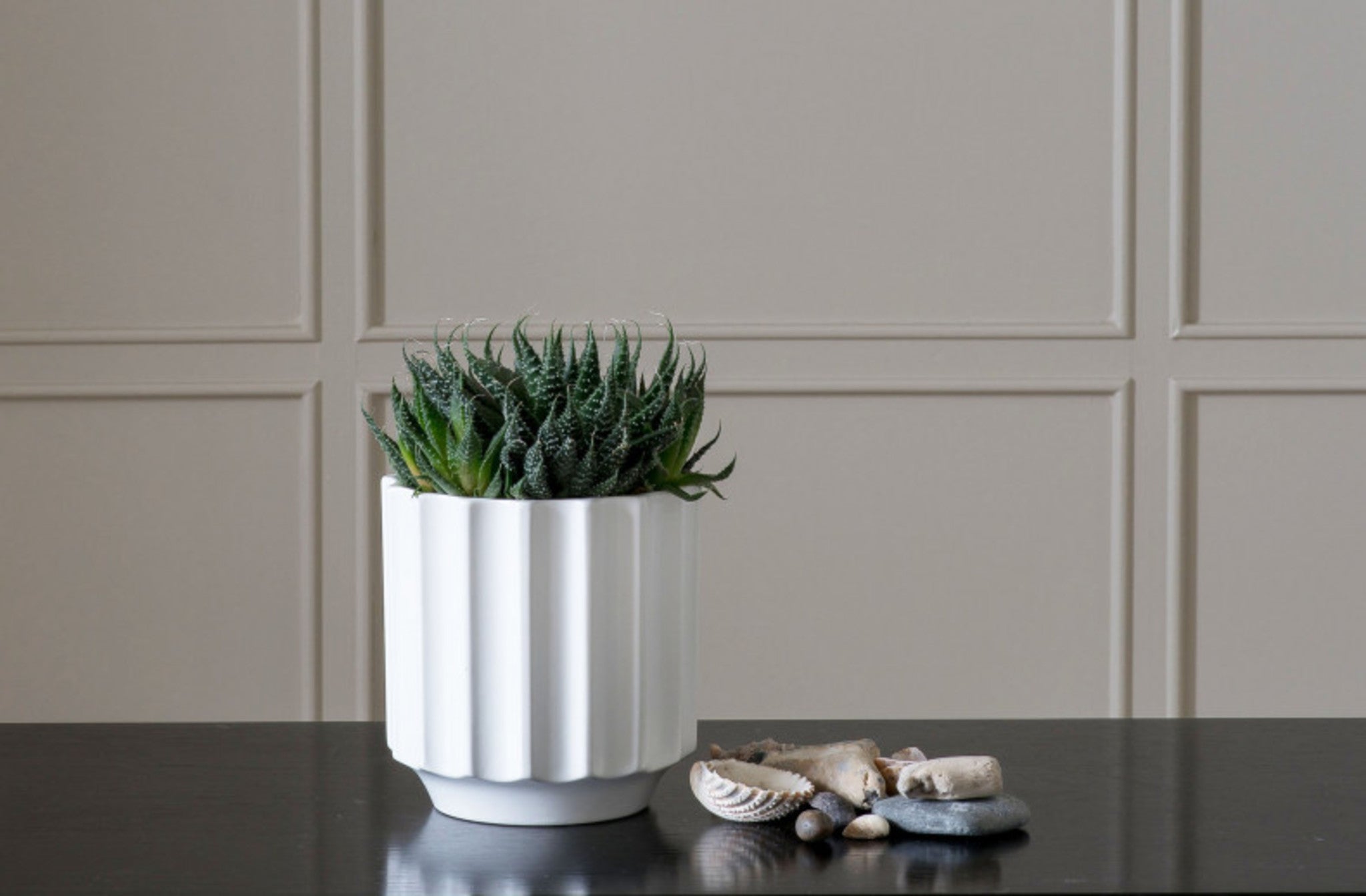 Ridged Pot