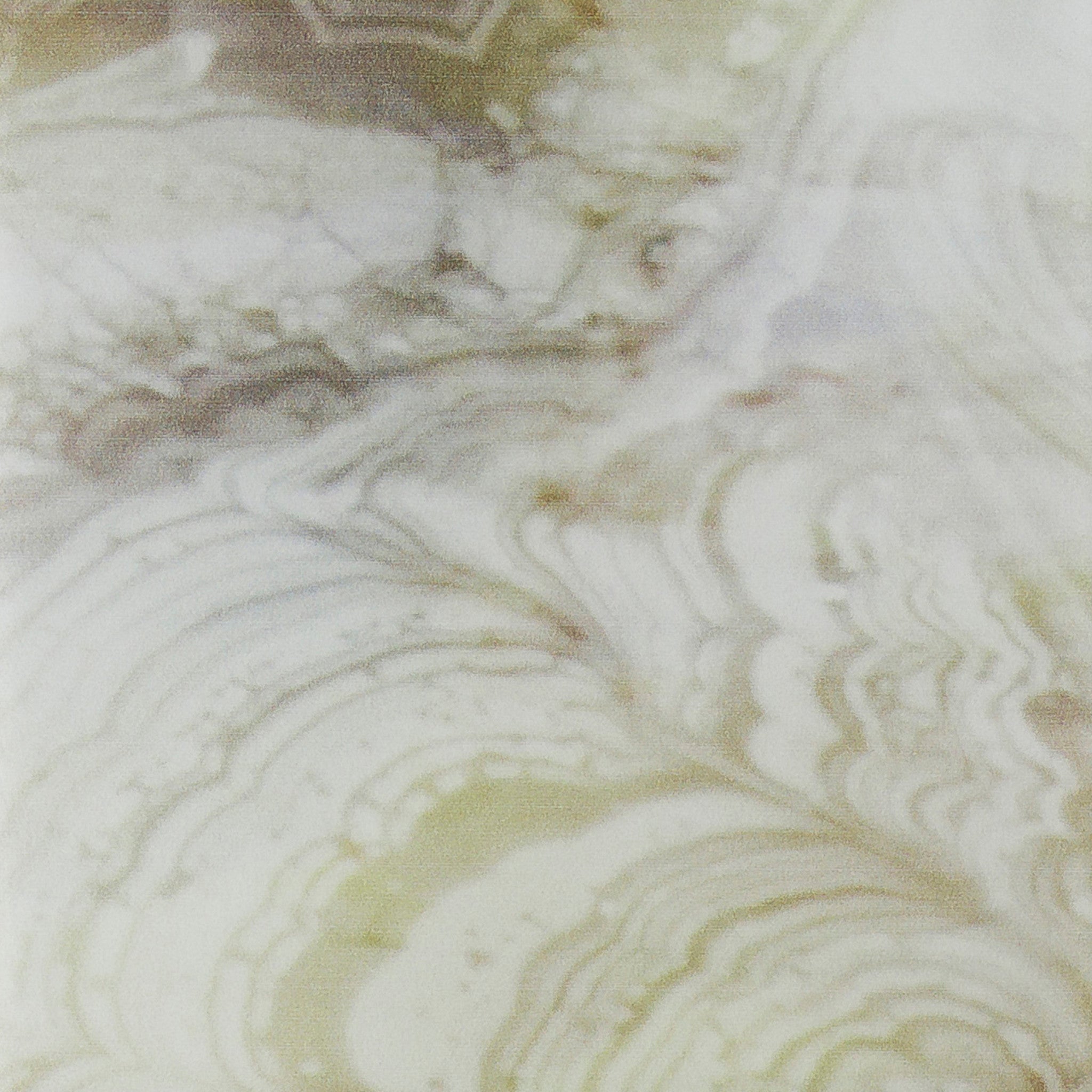 Rex Printed Glass