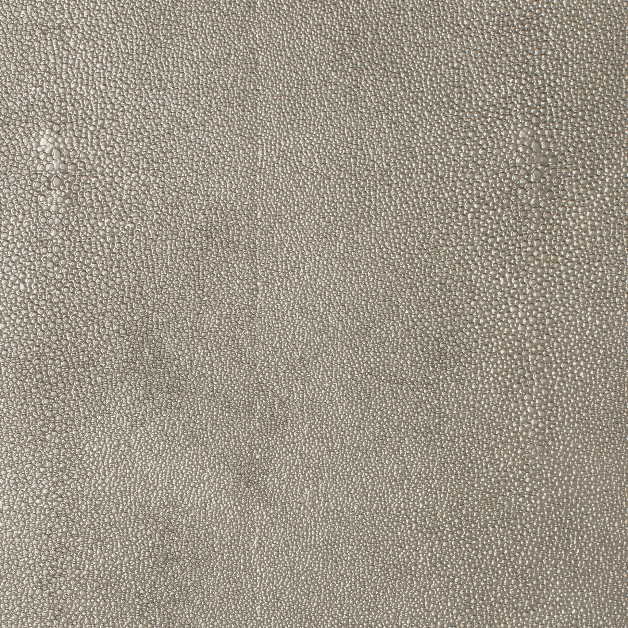 Champagne Metallic Shagreen