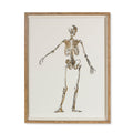 Gold Skeleton