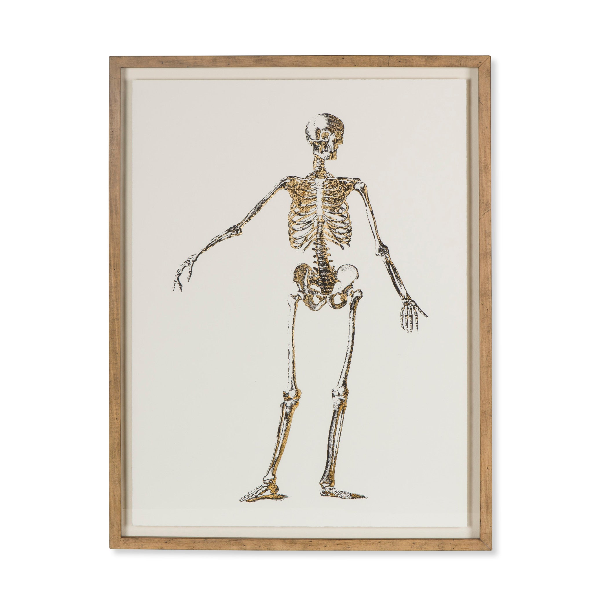 Gold Skeleton