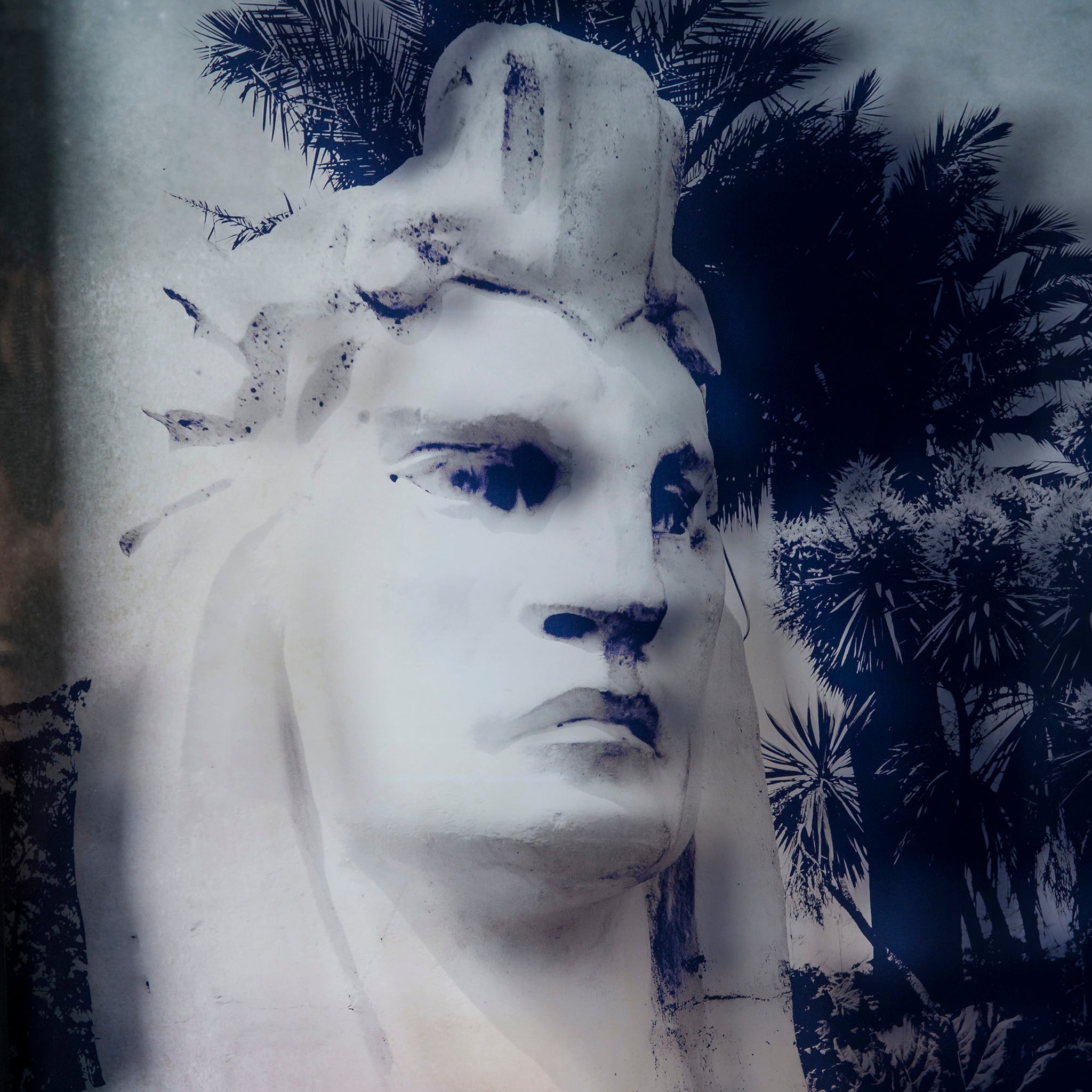 Sphinx On Glass